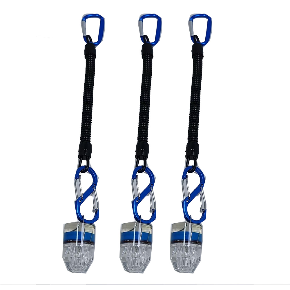 2-3PCS LED Fishing Lights With - Fish Alarm 评论和价格